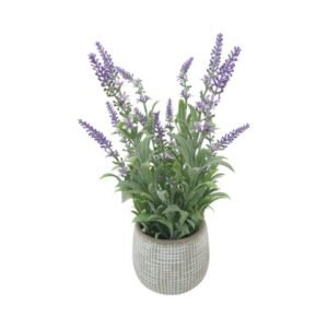 Potted Lavender (H41cm)