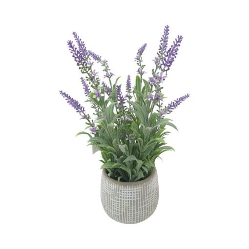 Potted Lavender (H41cm) Potted Lavender (H41cm)